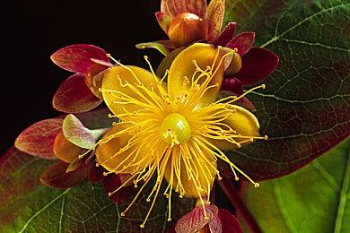 E3：邮政主题合作益智游戏《Keywee》8月31日发售